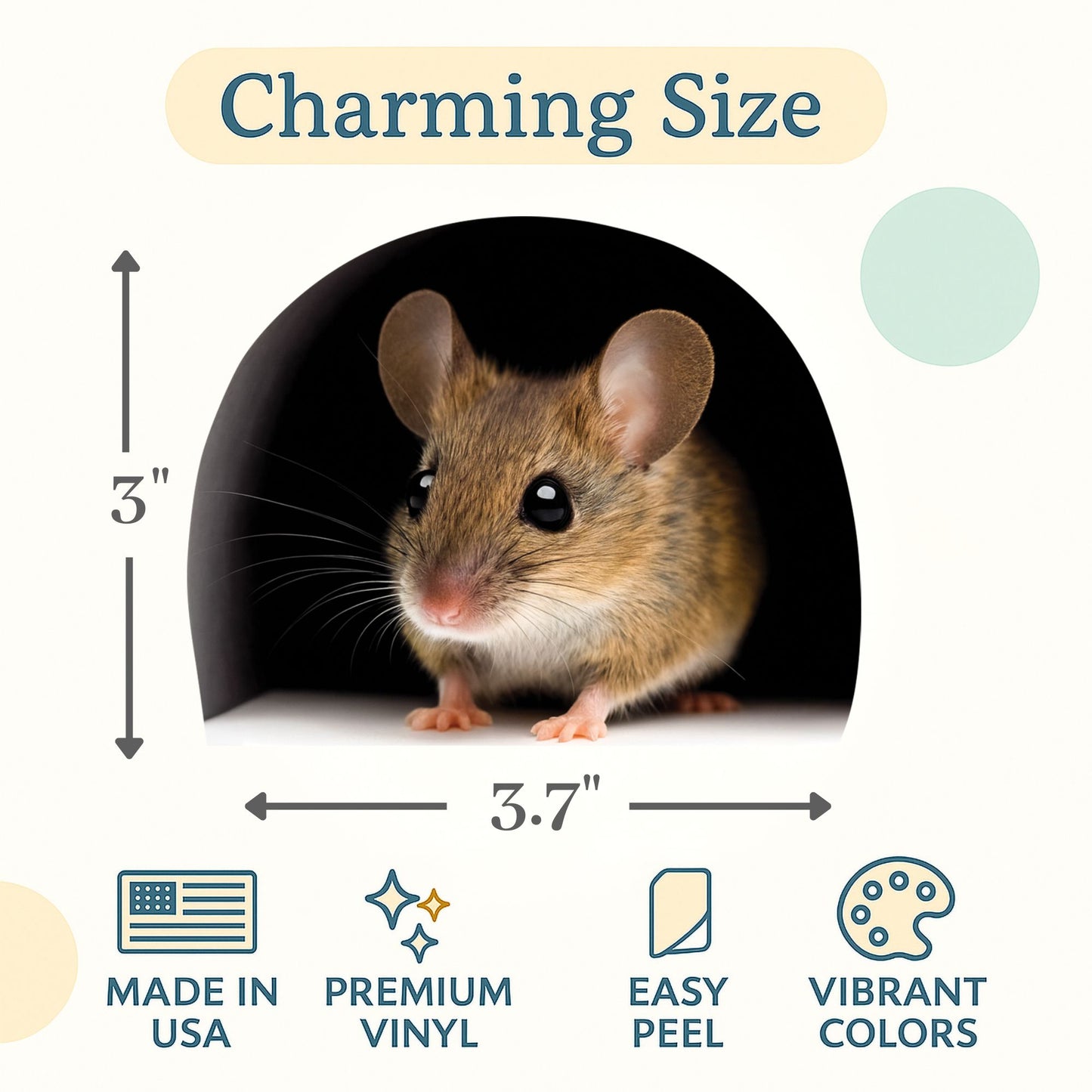 Mouse peeking out from a dark tunnel with measurements and product features displayed.