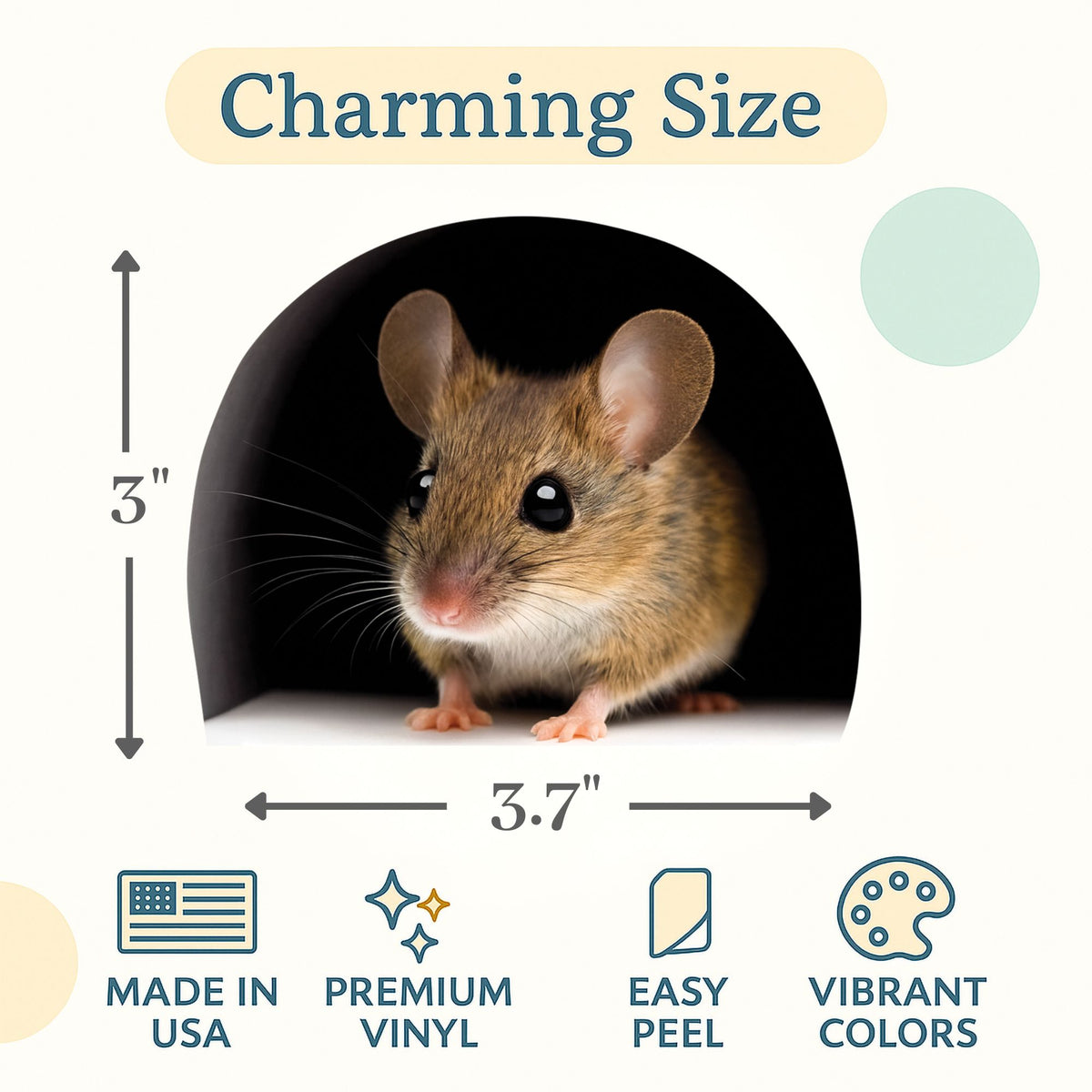 Mouse peeking out from a dark tunnel with measurements and product features displayed.