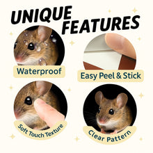 Peekaboo Mouse 3D Wall Sticker – Mouse Hole Illusion