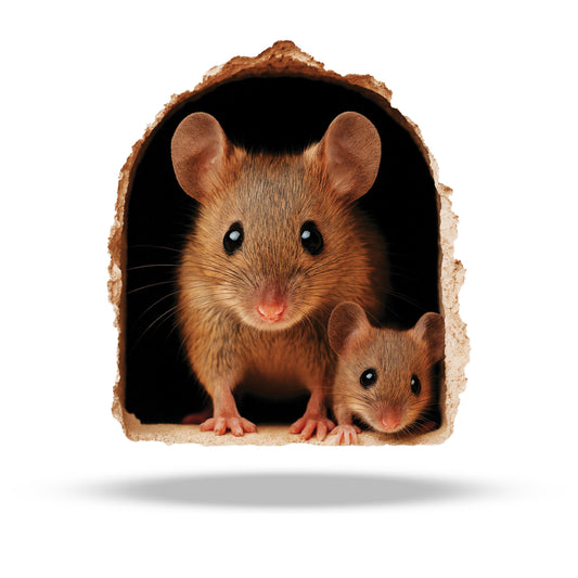 Two mice peeking out from a hole in a wooden block on a white background