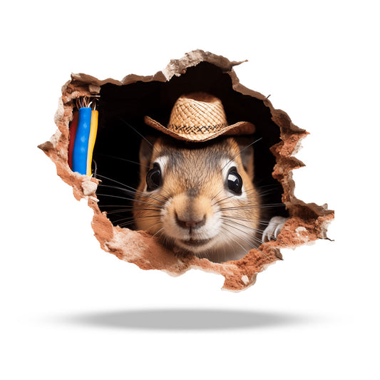 Earl the squirrel 3D wall sticker vinyl decal on wall
