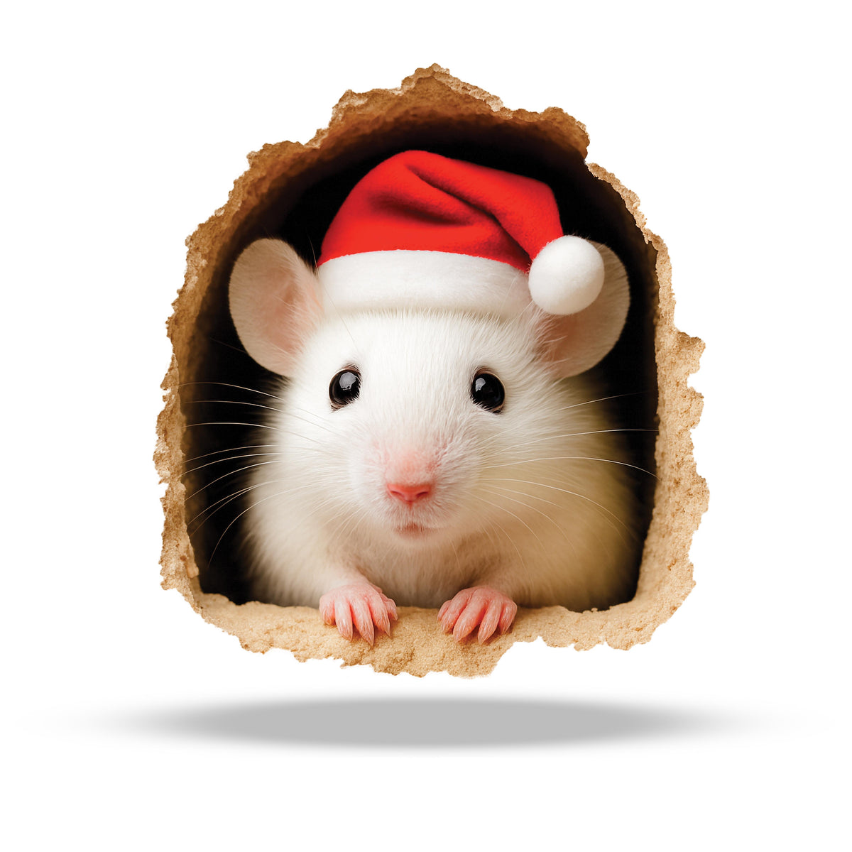 Santa mouse peeking from a wall hole wearing a red Santa hat