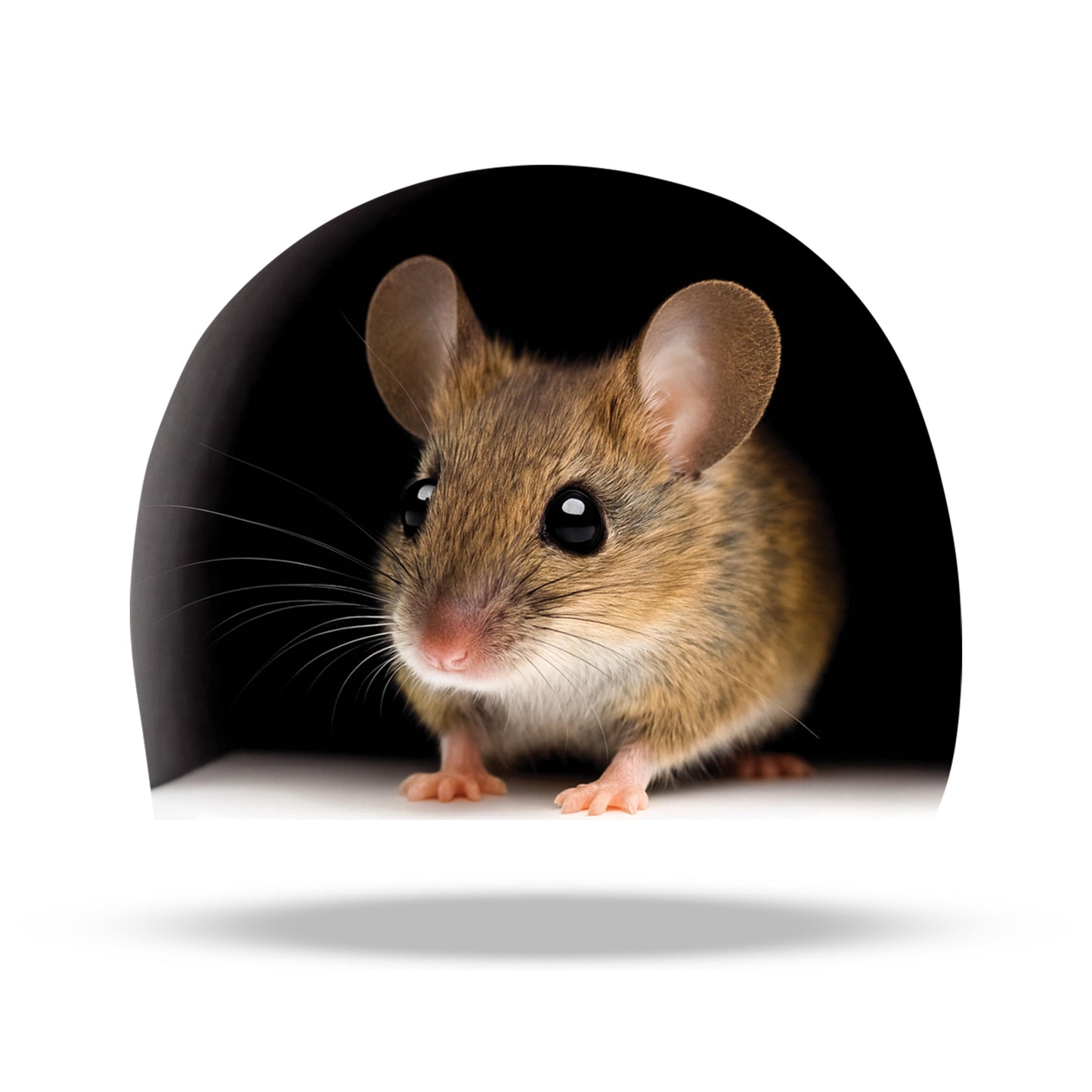 Mouse peeking out from a black tunnel on a white background