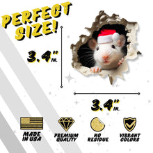 3D Mouse Wall Sticker – Jingle Paws